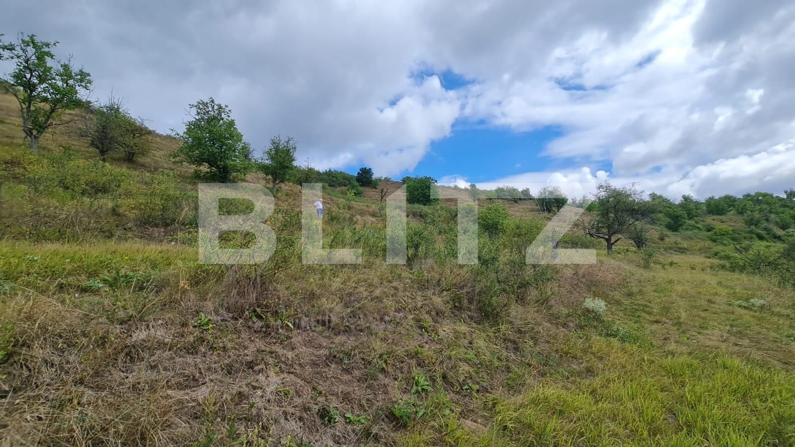 Teren de vânzare Radaia - 102363TV | BLITZ Cluj-Napoca | Poza11