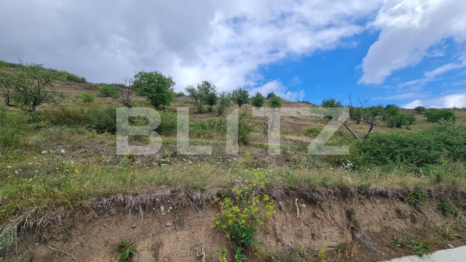 Teren de vânzare Radaia - 102363TV | BLITZ Cluj-Napoca | Poza7