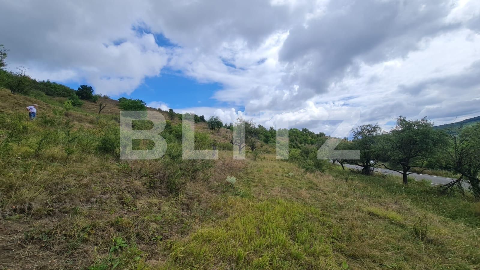 Teren de vânzare Radaia - 102363TV | BLITZ Cluj-Napoca | Poza9