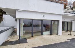 Spatii de birouri, 120 mp, cladire noua, zona Cetatuie