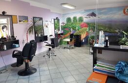 Spatiu comercial, 40mp, zona strazii Siretului