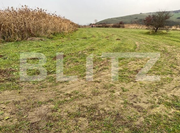 Teren de vânzare Sopor - 102450TV | BLITZ Cluj-Napoca | Poza2