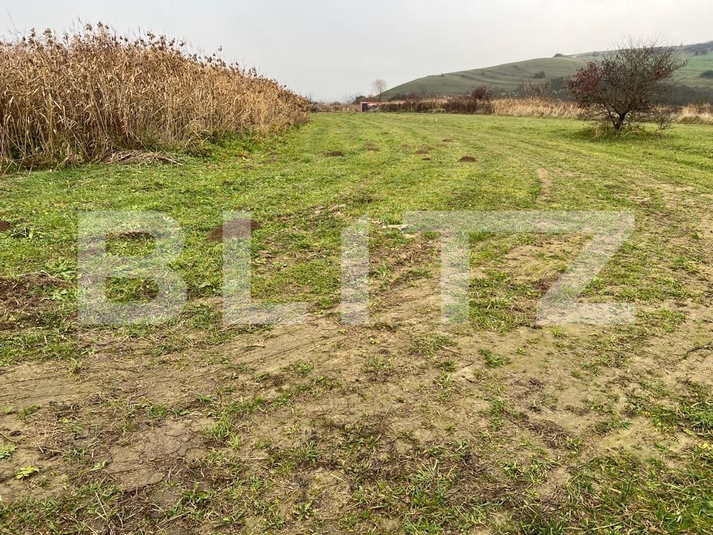 Teren de vânzare Sopor - 102450TV | BLITZ Cluj-Napoca | Poza2