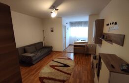 Garsonieră 32 mp, etaj intermediar, renovată, Mănăștur