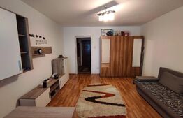 Garsonieră 32 mp, etaj intermediar, renovată, Mănăștur