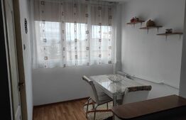 Garsonieră 32 mp, etaj intermediar, renovată, Mănăștur