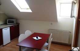 Apartament cu 1 camera in imobil nou, A.C., mobilat modern, in zona Republicii