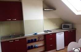 Apartament cu 1 camera in imobil nou, A.C., mobilat modern, in zona Republicii