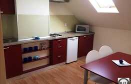 Apartament cu 1 camera in imobil nou, A.C., mobilat modern, in zona Republicii