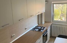 Garsoniera, prima inchiriere, 45mp, zona Kaufland