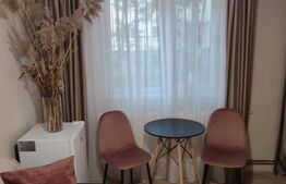 Garsoniera, 25 mp, lux, prima închiriere, zona Piața Flora