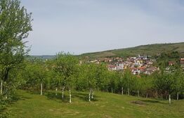 Exclusiv! Duplex de 120 mp, panorama, zona rezidențiala Romul Ladea   