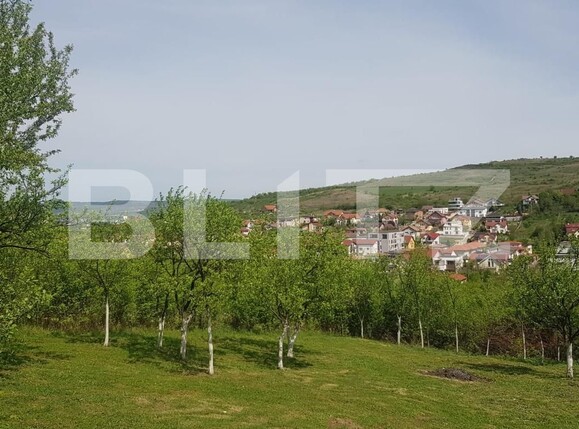 Casa de vânzare 4 camere Borhanci - 102608CV | BLITZ Cluj-Napoca | Poza6