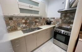 Garsoniera, 35 mp, dressing, pet friendly, zona Avram Iancu