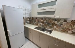 Garsoniera, 35 mp, dressing, pet friendly, zona Avram Iancu