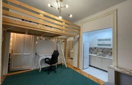 Garsoniera, 35 mp, dressing, pet friendly, zona Avram Iancu