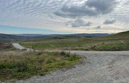 Teren intravilan 1750mp, zona Borhanci