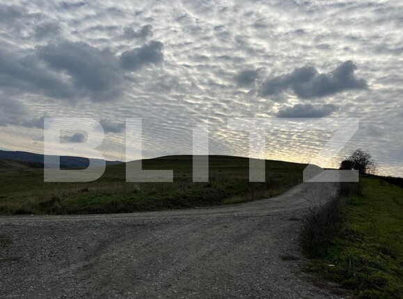 Teren de vânzare Borhanci - 102682TV | BLITZ Cluj-Napoca | Poza6