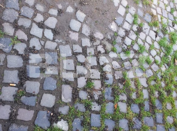 Casa de vânzare 3 camere Sanpetru - 102701CV | BLITZ Brașov | Poza16