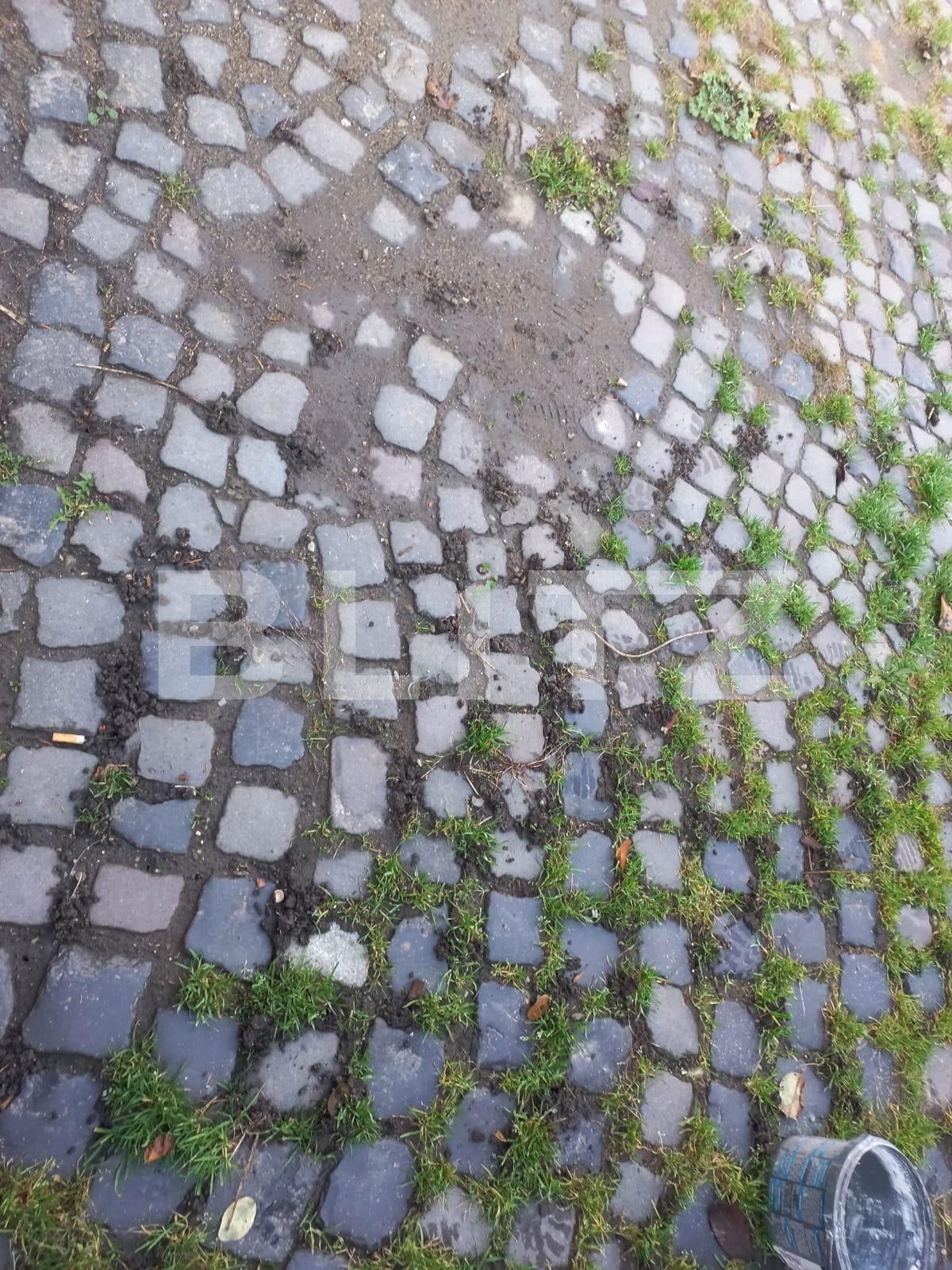 Casa de vânzare 3 camere Sanpetru - 102701CV | BLITZ Brașov | Poza16