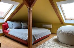 Casa spatioasa, 370 mp utili,1300 mp curte, parcari, zona Iulius Mall