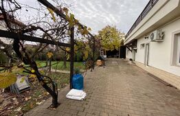 Casa spatioasa, 370 mp utili,1300 mp curte, parcari, zona Iulius Mall