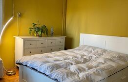 Casa spatioasa, 370 mp utili,1300 mp curte, parcari, zona Iulius Mall