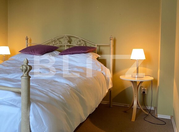 Casa de închiriat 11 camere Intre Lacuri - 102738CI | BLITZ Cluj-Napoca | Poza5