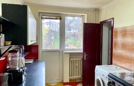 Apartament 3 camere, 65mp, zona strazii Plopilor