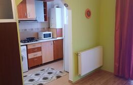 Apartament 1 camera, 36mp, etaj intermediar, zona Porii