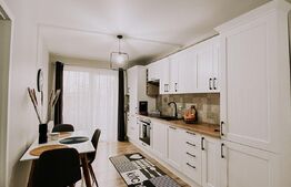 Apartament 2 camere semidecomandat 46mp, Corneliu Coposu, Dambul Rotund