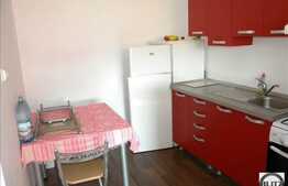 Apartament 2 camere, semidecomandat, imobil nou, 56 mp, zona strazii Horea!