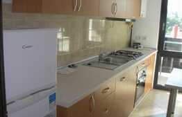 Apartament 1 camera, 45 mp utili, prima inchiriere, zona USAMV, totul NOU!