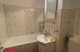 Garsoniera de inchiriat, semidecomandata, 26 mp, zona Expo Transilvania