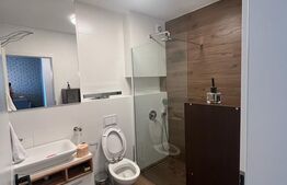 Apartament lux 2 camere, 43 mp, zona strazii Taietura Turcului