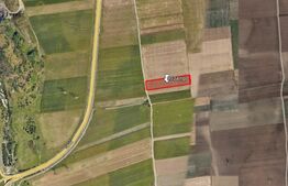 Teren de vanzare 9.934 mp, Centura Brasovului