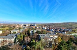 Garsoniera 28 mp, la cheie, panorama, zona Detunata!