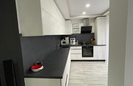 Penthouse 3 camere mobilat lux ,73 mp utili ,terasa 78 mp, zona Teilor