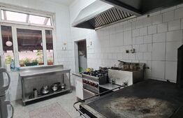 Comision 0% Casa in Grigorescu cu afacere la cheie