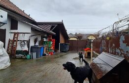 Comision 0% Casa in Grigorescu cu afacere la cheie