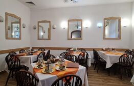 Comision 0% Casa in Grigorescu cu afacere la cheie