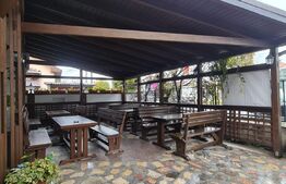 Comision 0% Casa in Grigorescu cu afacere la cheie