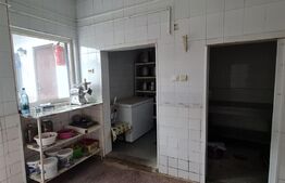 Comision 0% Casa in Grigorescu cu afacere la cheie