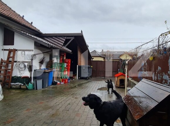 Casa de vânzare 2 camere Grigorescu - 102986CV | BLITZ Cluj-Napoca | Poza14