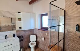 Casa de 159 mp, 6 camere, 245 mp teren liber, acces restrictionat, zona Terra