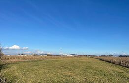 Teren intravilan construibil investitie, 10000mp, front 35ml, zona Merilor Stupini