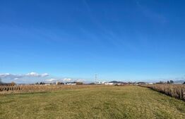 Teren intravilan construibil investitie, 10000mp, front 35ml, zona Merilor Stupini