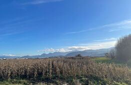 Teren intravilan construibil investitie, 10000mp, front 35ml, zona Merilor Stupini