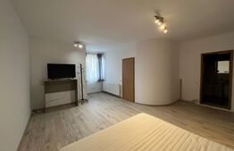 Garsoniera de 42 mp, zona strazii Alverna