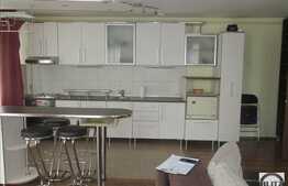 Apartament la prima inchiriere, 2 camere, 57 mp, AC, cu parcare, zona Florilor!